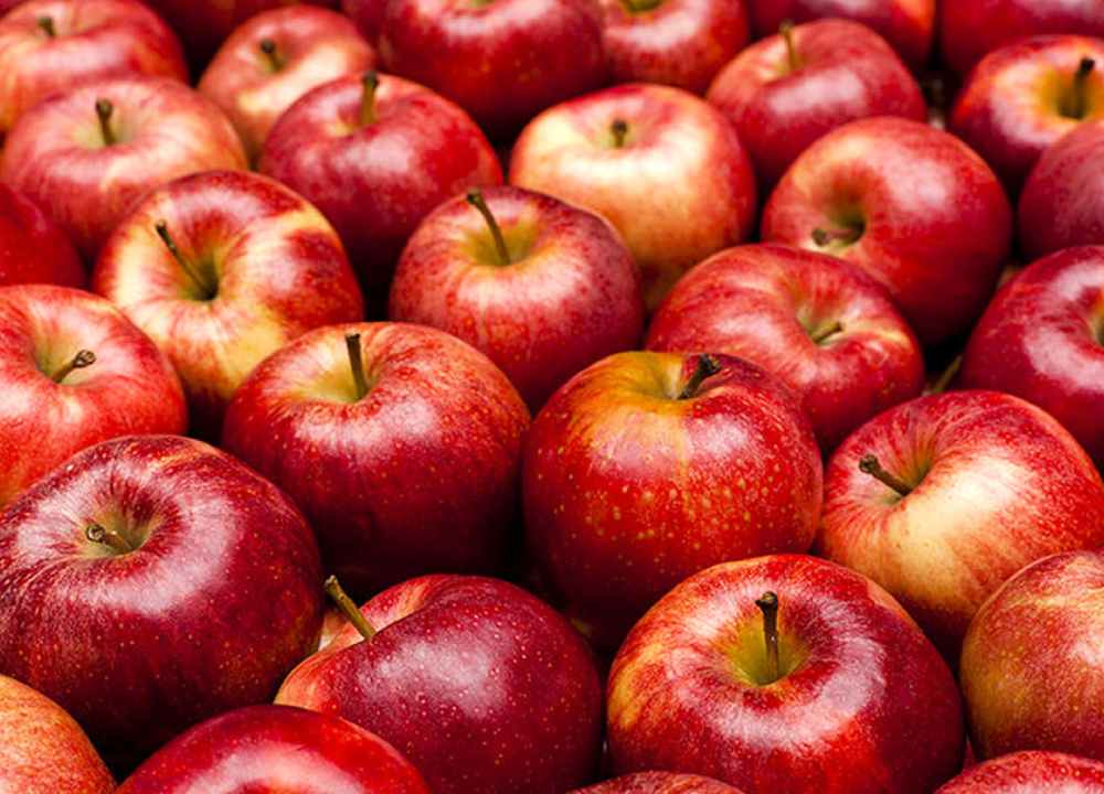 سیب قرمز استخوانی